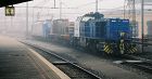 3 CFL-Lokomotiven stehen im Nebel: eine Diesellok der Reihe 1100, in der mitte eine ältere Diesellok...