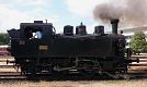 Die Besucher konnten an diesem Tag die Dampflokomotive 275 034 (Spitzname: Lutscher) fahren.