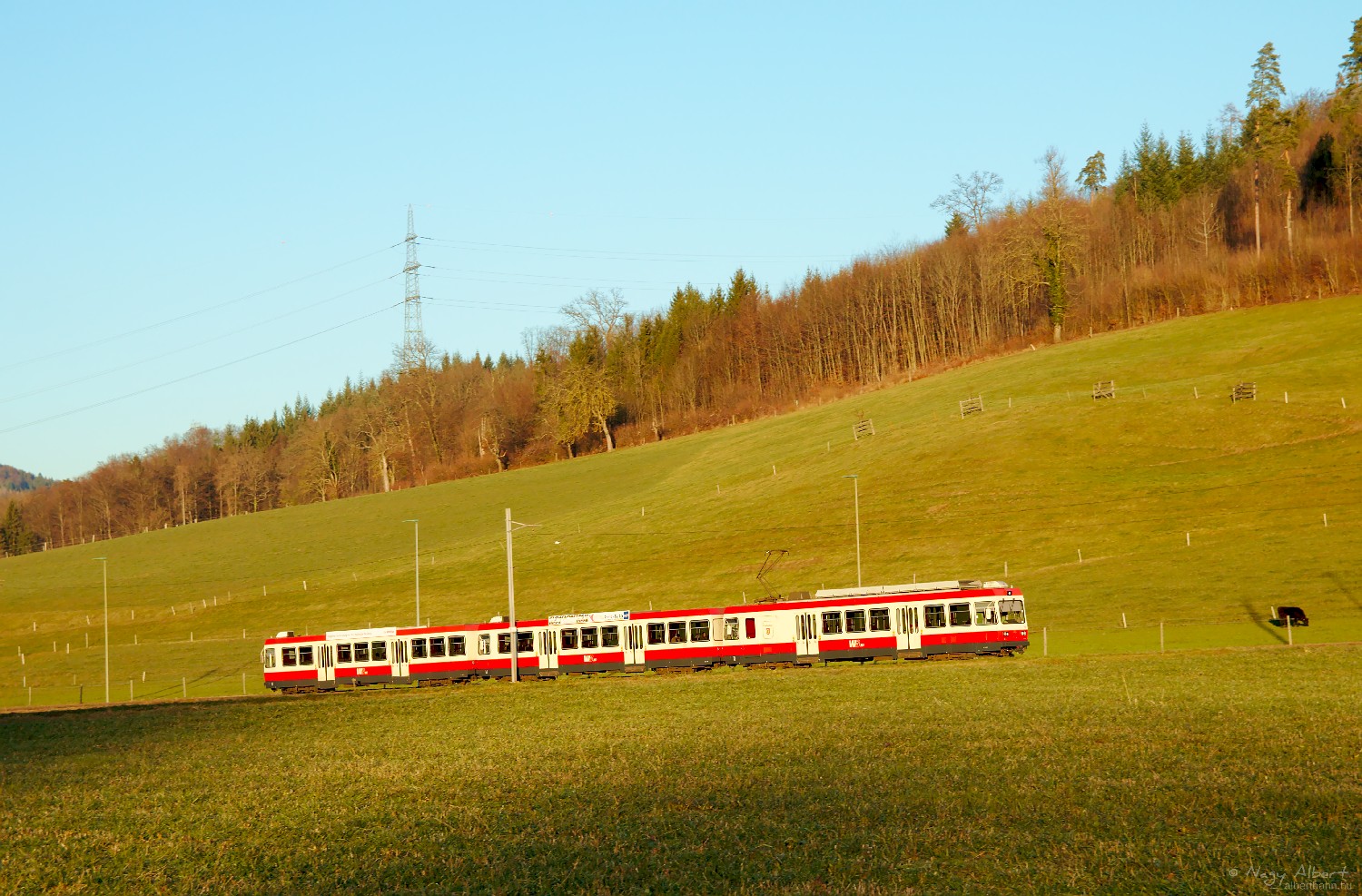 Die Waldenburgerbahn