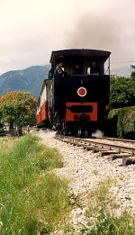 Der Zug fährt bei Maurach nach Jenbach