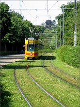 Zoo - tram approaches on grass track