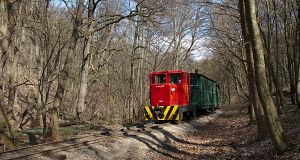 Az erdő mélyén húzza három kocsiját a C-04-404-es pályaszámú kis mozdony.