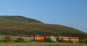 Der erste Zug am Morgen wird von der Diesellokomotive Mk48 2031 Richtung Kismaros gezogen