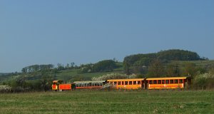 The first train in the morning - hauled by the diesel locomotive Mk48 2031 - is passing the meadow toward Kismaros