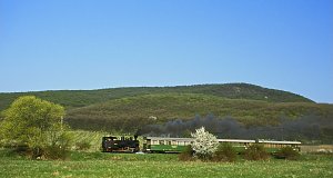 Steam train on the meadow.
1st Prize at the Börzsöny Mountains' Narrow Gauge Railways photo contest