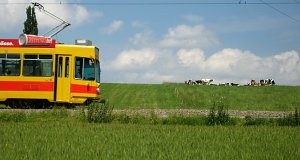 Tram on the pasture