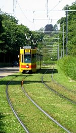 Zoo - tram approaches on grass track