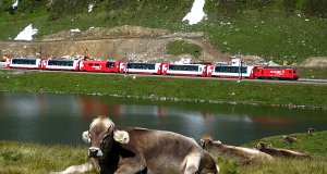 Spricht für sich selbst: Die Lok des GEX 904 wirbt für den Glacier Express, der Zug besteht aus neuen Stadler-Wagen.