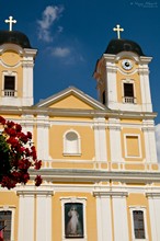 Basilica with geranium