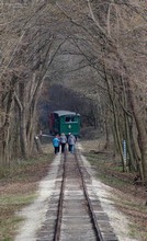 Belépés az erdő katedrálisába.
Aki lemaradt a vonatról, a síneken vezető turistaúton megy tovább a végállomás felé.