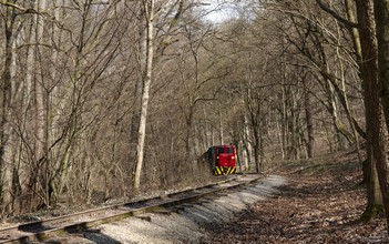 The train comes back from Stimecz House terminus, near the Toldi-well spring.