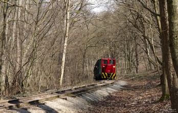 The train comes back from Stimecz House terminus, near the Toldi-well spring.