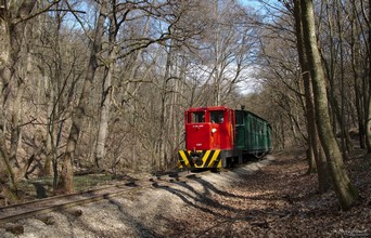 Tief im Wald zieht die kleine Lokomotive C-04-404 ihre drei Wagen.