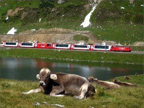 Spricht für sich selbst: Die Lok des GEX 904 wirbt für den Glacier Express, der Zug besteht aus neuen Stadler-Wagen.